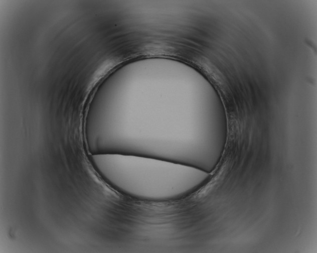 X0000092240986200709140959