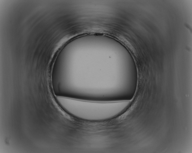 X0000092240989200709140959