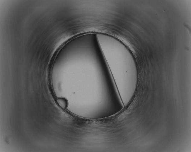 X0000092240991200709140959