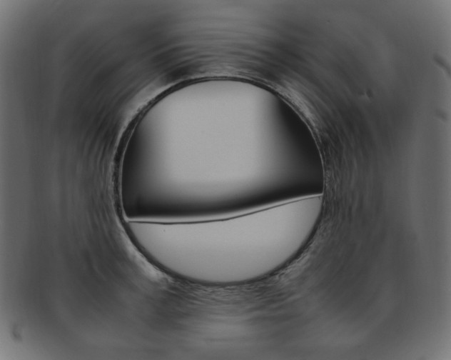 X0000092240995200709140959