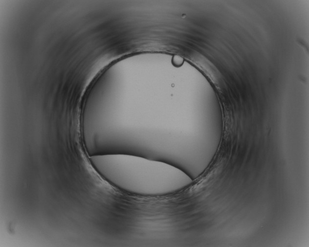 X0000092241000200709140959