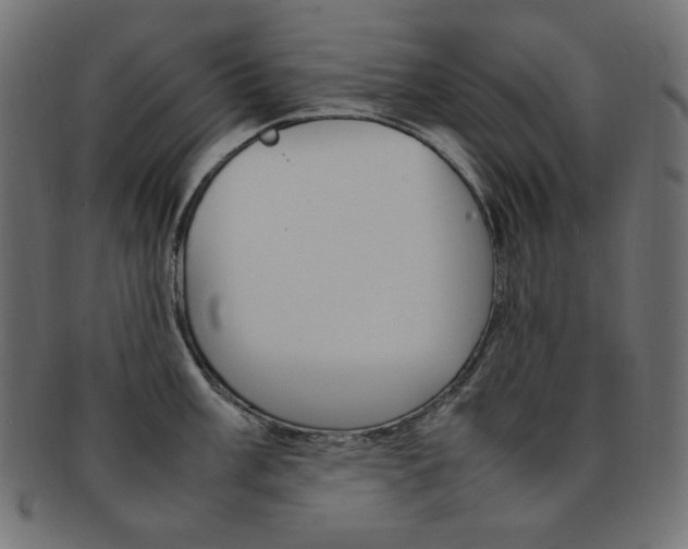 X0000092241003200709140959