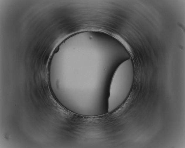 X0000092241004200709140959
