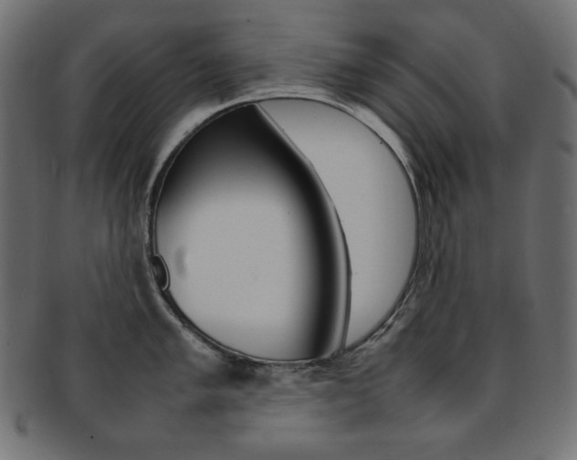 X0000092241005200709140959
