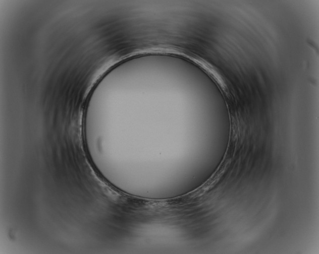 X0000092241006200709140959