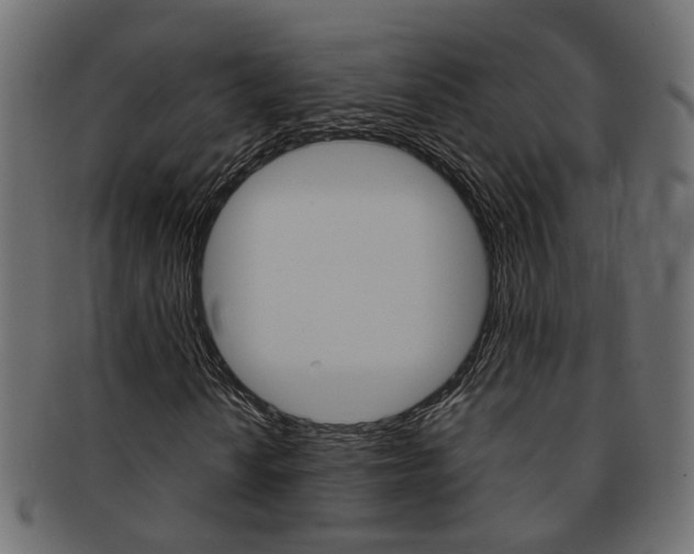 X0000092241010200709140959