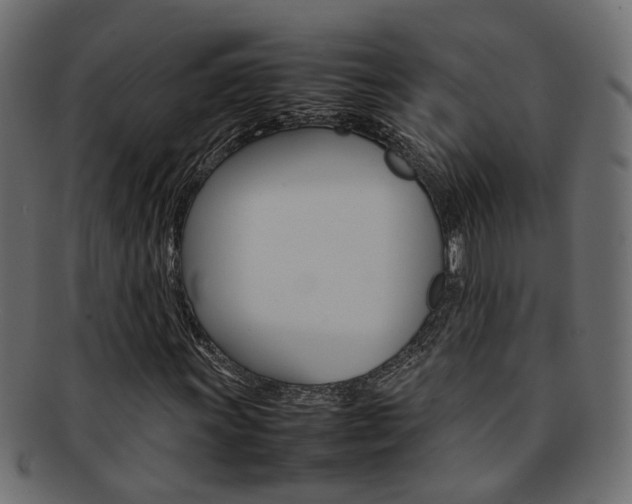 X0000092241011200709140959