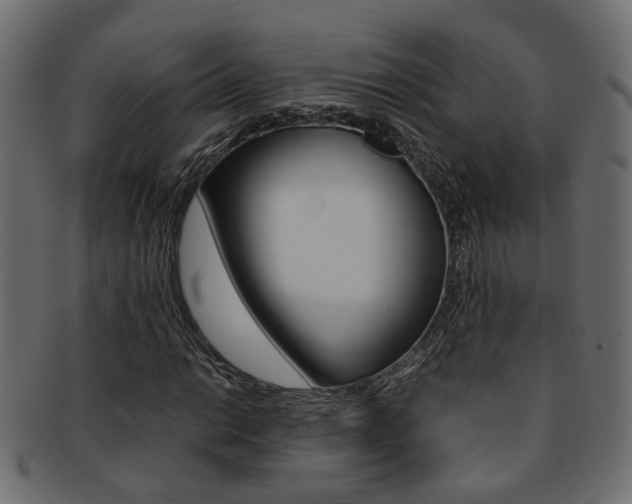 X0000092241014200709140959