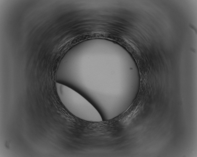 X0000092241015200709140959