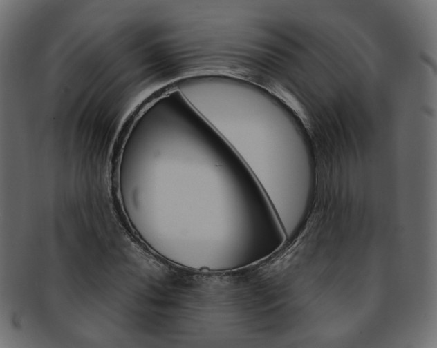 X0000092241020200709140959