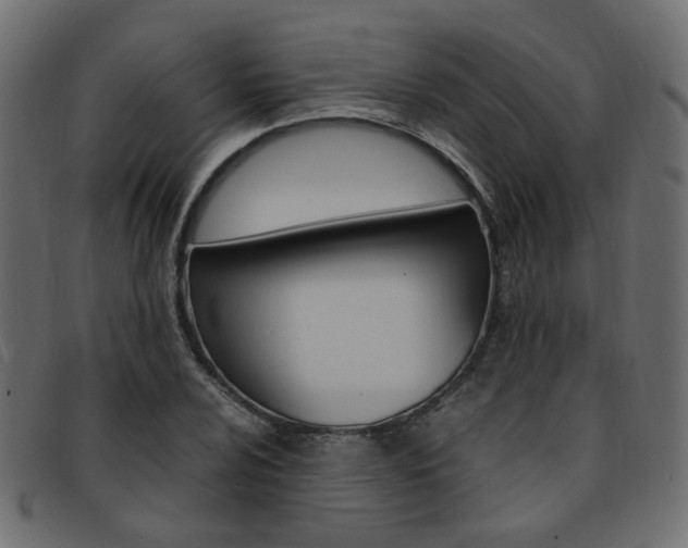 X0000092241024200709140959