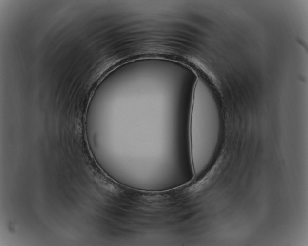 X0000092241025200709140959