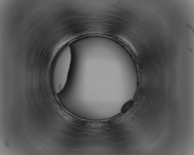 X0000092241027200709140959