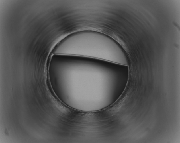 X0000092241028200709140959