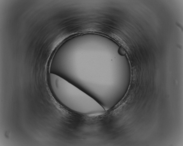 X0000092241031200709140959
