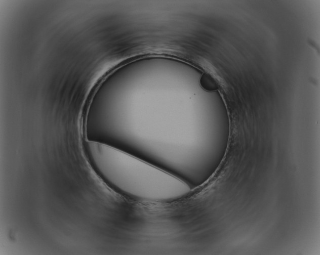 X0000092241032200709140959