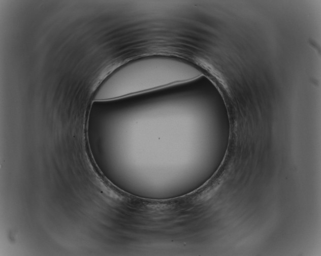 X0000092241033200709140959
