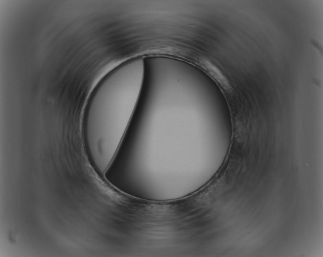 X0000092241036200709140959