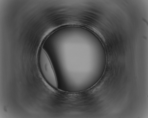 X0000092241037200709140959