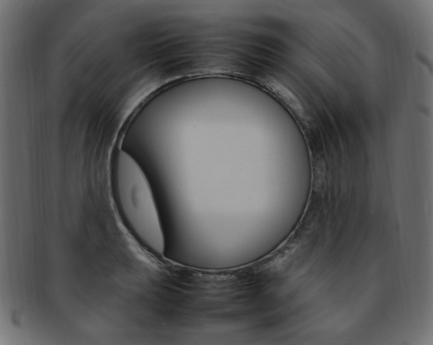 X0000092241039200709140959