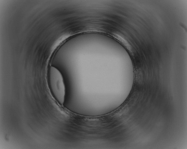 X0000092241043200709140959