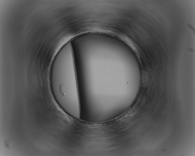 X0000092241048200709140959