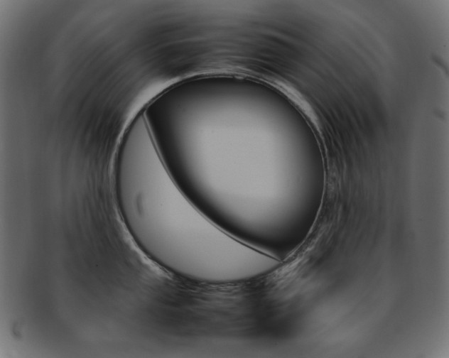 X0000092241053200709140959