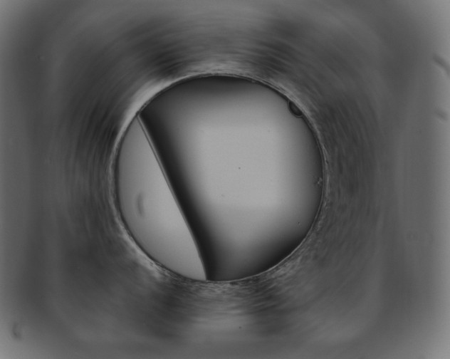 X0000092241056200709140959
