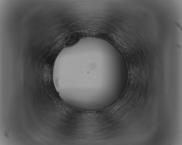 X0000092241058200709140959