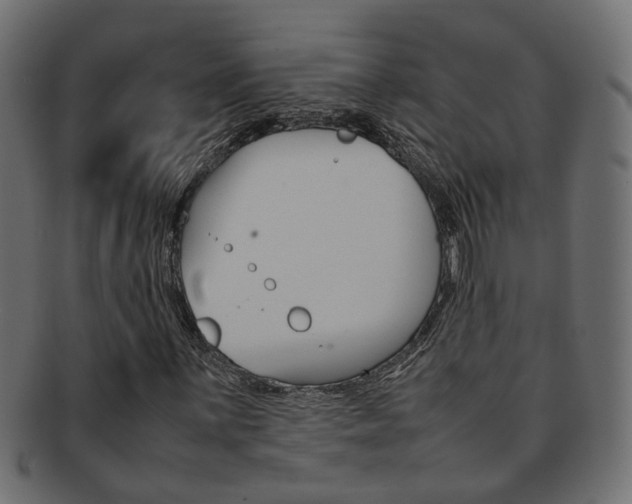 X0000092241059200709140959
