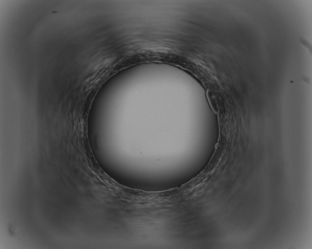 X0000092241061200709140958