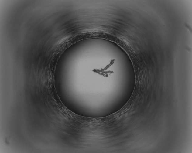 X0000092241062200709140958