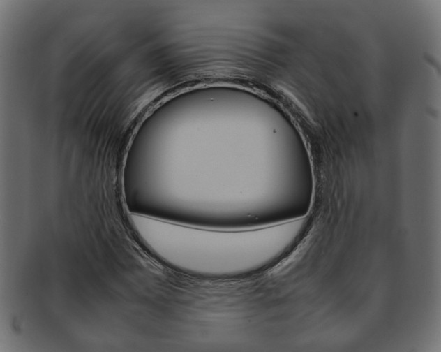 X0000092241065200709140958
