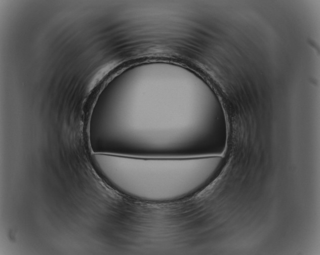 X0000092241066200709140958