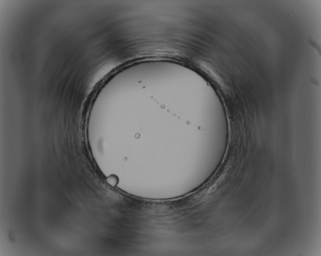 X0000092241071200709140958