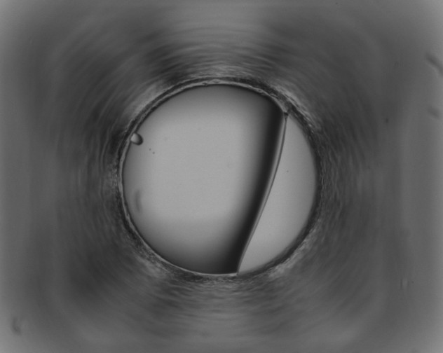 X0000092241073200709140958
