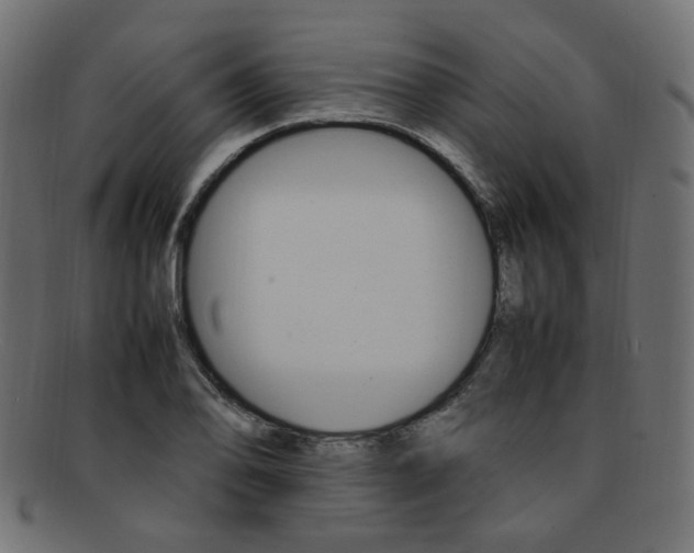 X0000092241078200709140958