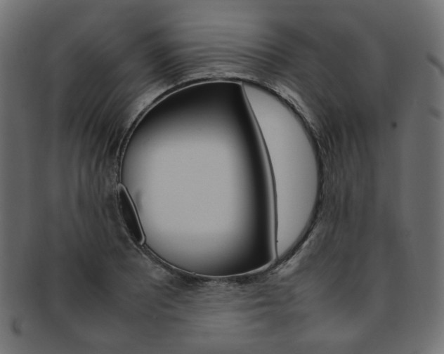 X0000092241081200709140958
