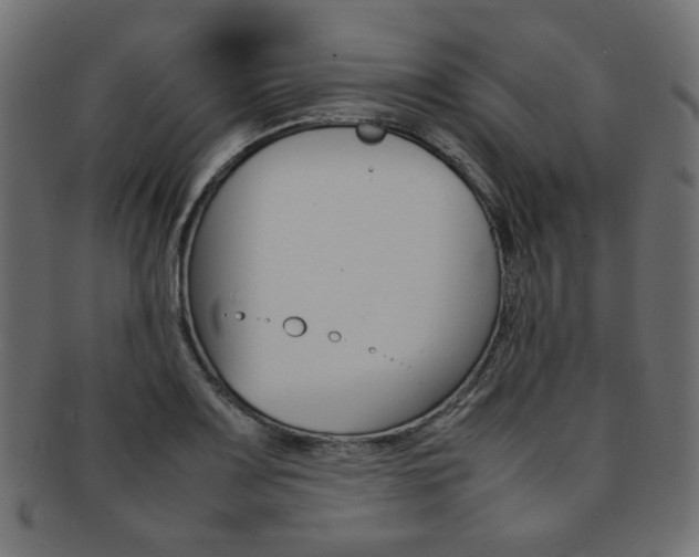 X0000092241083200709140958