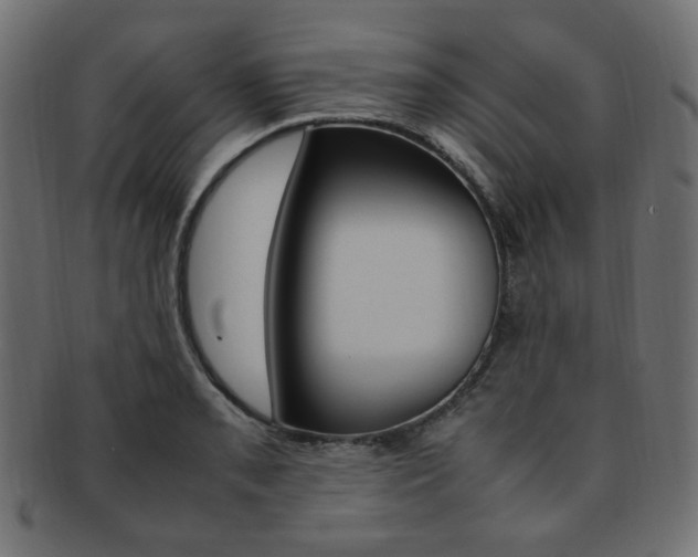 X0000092241085200709140958