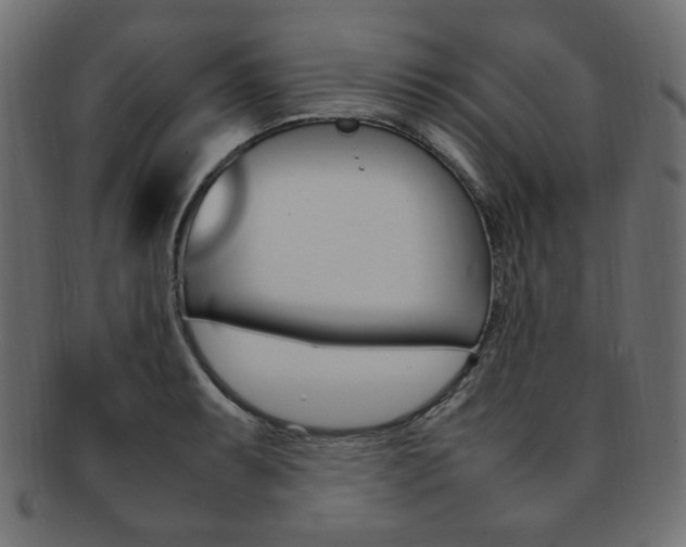 X0000092241087200709140958