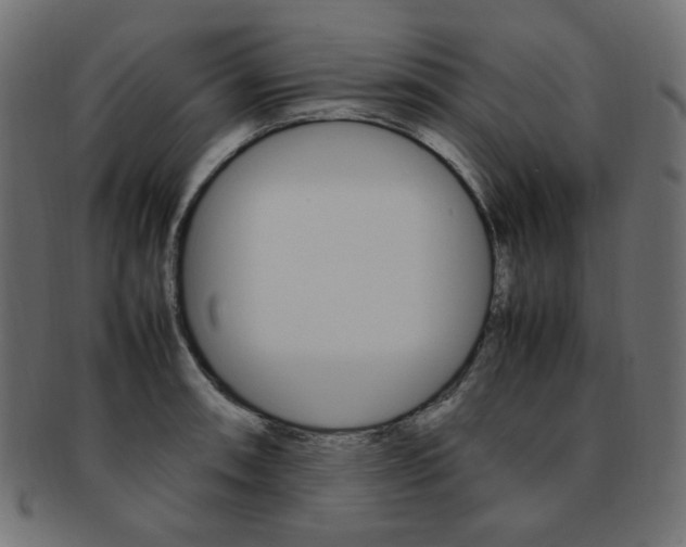 X0000092241090200709140958
