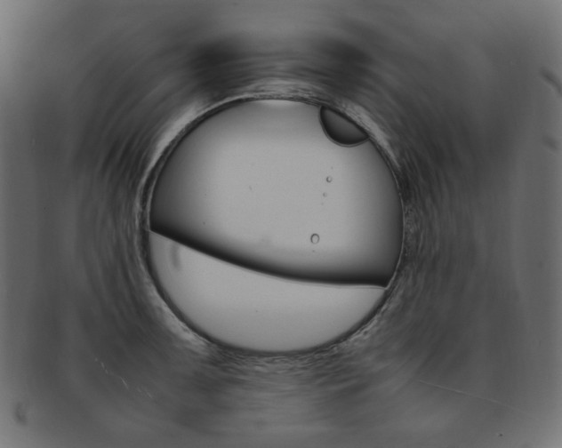 X0000092241091200709140958