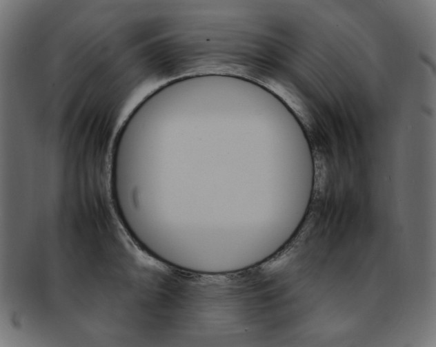 X0000092241094200709140958