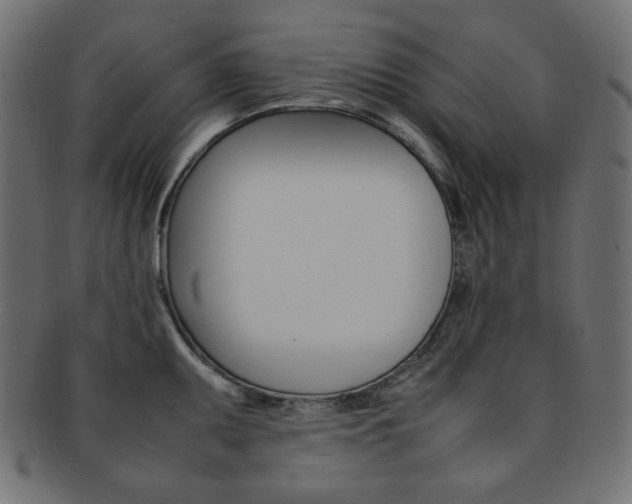 X0000092241095200709140958