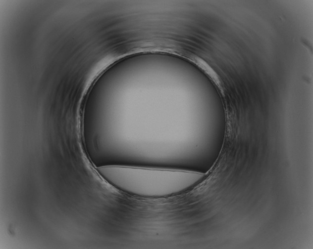 X0000092241096200709140958