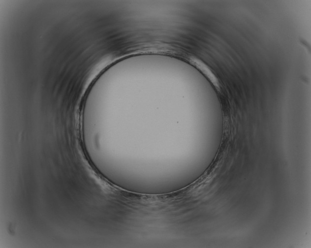 X0000092241099200709140958