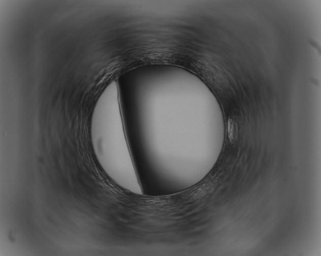 X0000092241107200709140957