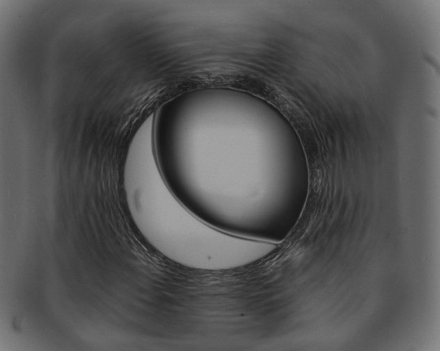 X0000092241108200709140957