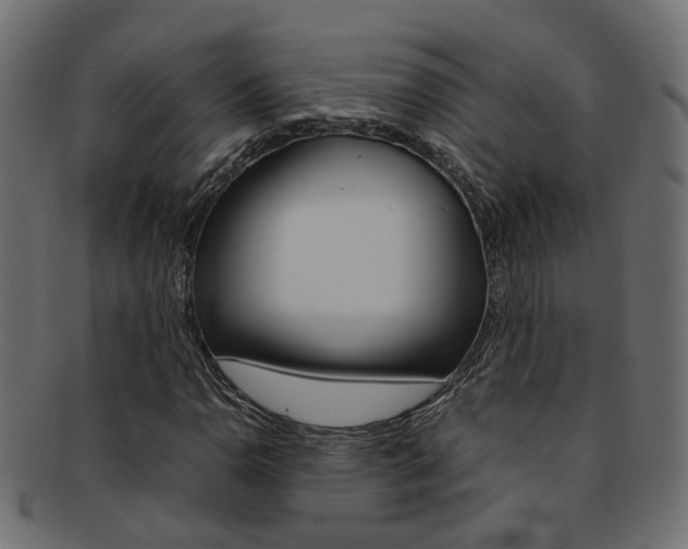 X0000092241110200709140957